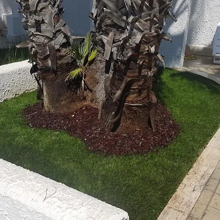 Oleandri - Baia Verde